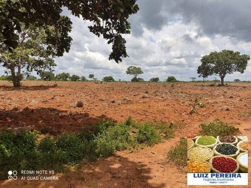 Imagem 12 de 14 de Fazenda À Venda Em Santa Rita Do Pardo - Ms - 650 Hectares (pecuária) - 1657