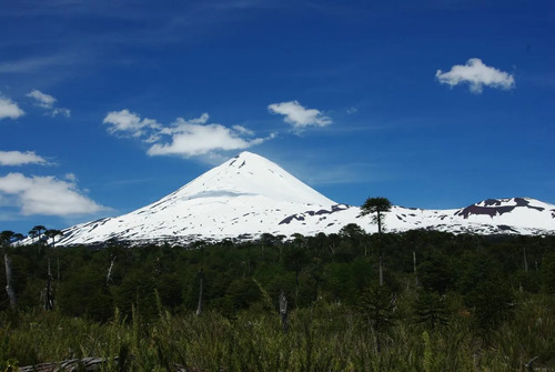 Inversión Segura En Campos En Expansión