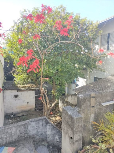 Imagem 6 de 8 de Terreno Na Penha Com 300m² - Te0155