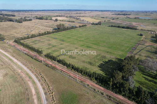 Imagen 10 de 26 de Terreno Fraccion En Venta Ubicado En Cañuelas, Resto De La Provincia, Buenos Aires