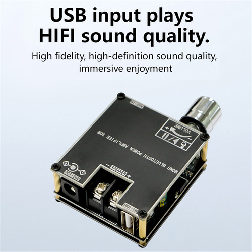Amplificador Zk-301b 30w Mono 5.3 O Com Tws & App