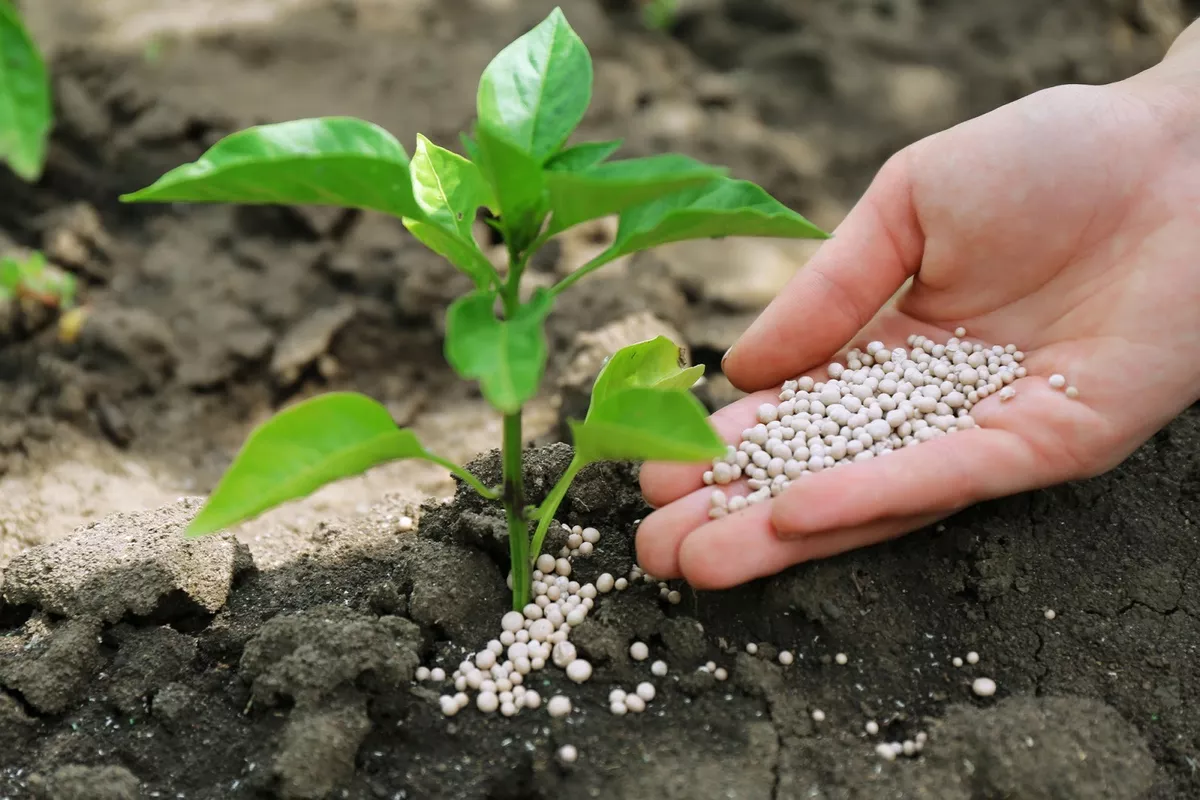 Fertilizantes y Abonos