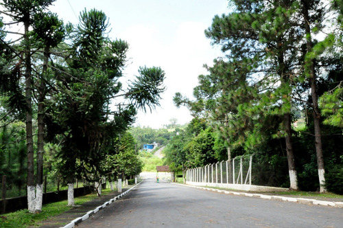 Imagem 29 de 30 de Casa Em Condomínio À Venda, Condomínio Recanto Da Floresta, Itapecerica Da Serra/sp - 3213