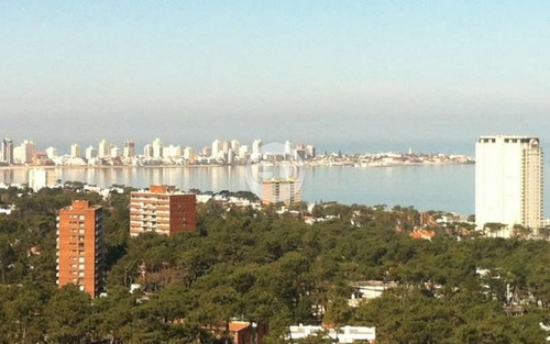 Departamento - Roosevelt