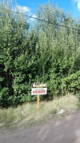 Imagen 4 de 8 de Terreno En Venta En Las Gaviotas