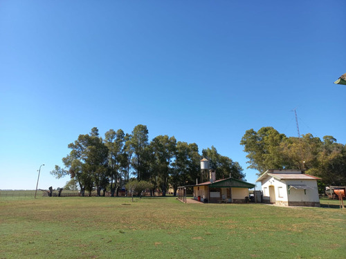 Venta Campo Mixto Agrícola En Benito Juarez 513has