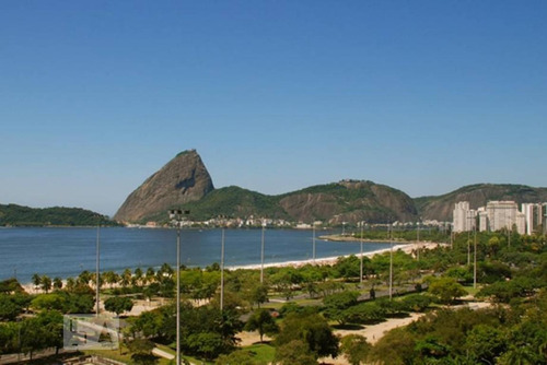 Apartamento À Venda - Flamengo, 1 Quarto, 38 - S893119715