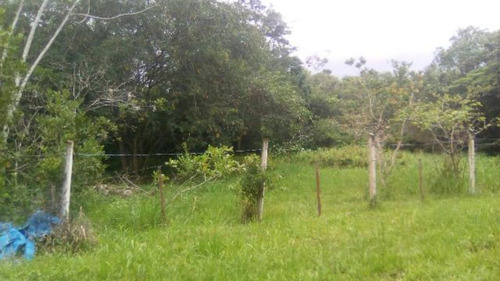 Terreno De Chácara Desmatado No Bopiranga - 3951 | Npc