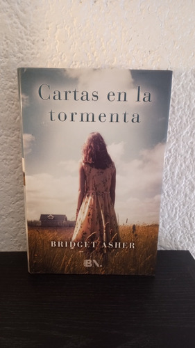 Cartas En La Tormenta - Bridget Asher