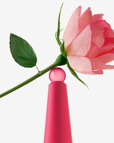 Perfume Issey Miyake L'eau D'issey Rose & Rose Edp 25ml