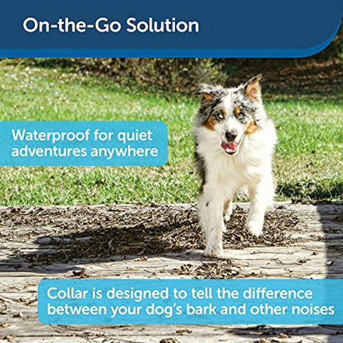Petsafe Basic Bark Control Collar