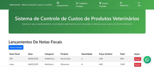 Desenvolvimento De Sites, Sistemas Web E Restauração De Imag