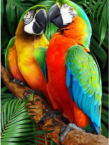 Kit Pintura Diamante Cuadrado Parrot Kits Para Adulto Arte X