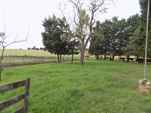 Casa Quinta, De 4 Hectareas Con 2 Viviendas Con Cochera, Deposito, Parque Y Parrilla