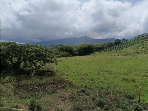Se Vende Finca Vía Barragan - Rio Verde