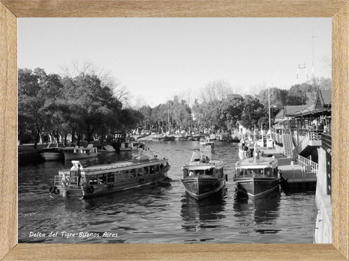 Buenos Aires Delta Tigre Cuadros Posters Carteles    M758