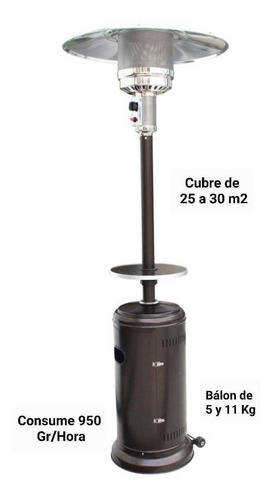 Imagen 5 de 5 de Arriendo Estufas De Terraza. Marcamos La Diferencia