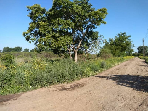 Imagen 3 de 14 de Retasado 6 Hectareas En Venta En Pilar, A 200mts De Ruta 25.