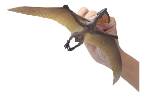Modelo De Dinosaurio Realista, Figuras De Pterosaurio, Juguetes Para Coleccion De Juegos Para Pequenos Educacion Cientifica Decoracion Pterodactilo Baoblaze Figuritas De Pterosaurio