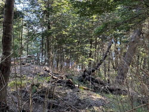 Excelente Lote Con Vista Parcial Al Lago Nahuel Huapi, Loteo Parque Arauco, Villa La Angostura
