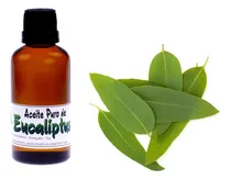 Comprar Aceite De Eucaliptus-60 Ml-natural- Sin Aditivos-100% Puro