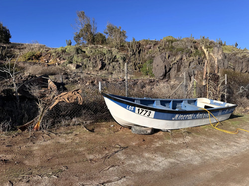 Parcela Plana 5000mts2 A 5min Caleta Totoralillo