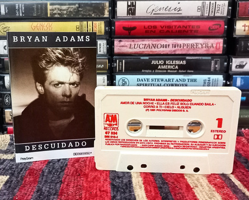 Bryan Adams Descuidado Casete Impecable No Cd 