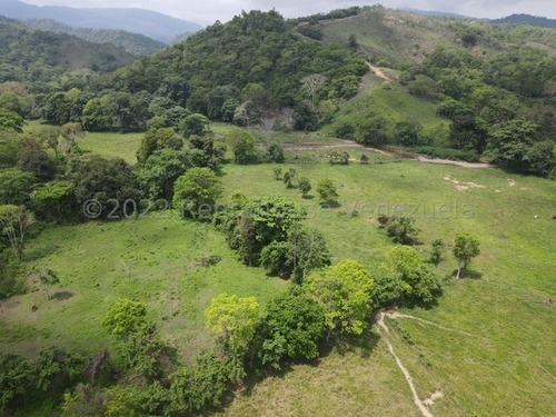 Imagen 7 de 30 de Finca En Venta San Felipe 1500 Ha, #23-14481