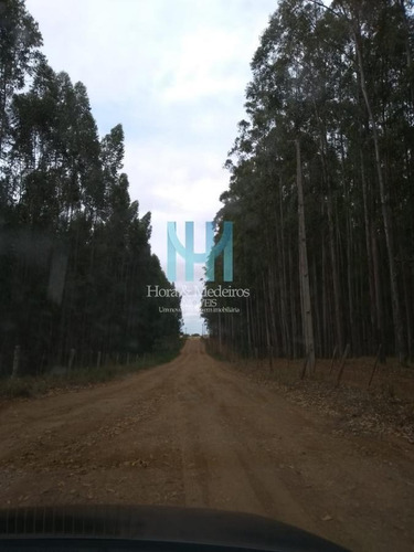 Imagem 1 de 10 de Terreno Para Venda Em Paranapanema, Núcleo Residencial Europa - 071_1-2201461