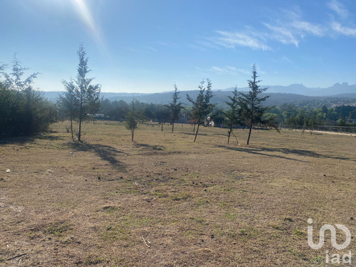 Venta Terreno 0 Ambiente La Mora
