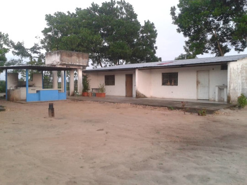 Imagen 2 de 10 de Se Vende Finca Vial Alsur Cerca Del Veladero Ve02-1313vs-myafar