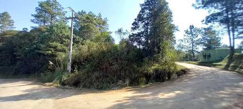 Imagem 2 de 10 de Sítio / Chácara Para Venda Em São José Dos Pinhais, Área Rural De São José Dos Pinhais - 112_2-1247302