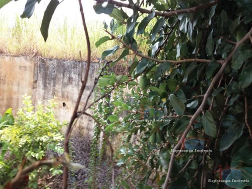 Imagem 5 de 7 de Ref.: 4690 - Terrenos Em Osasco Para Venda - V4690