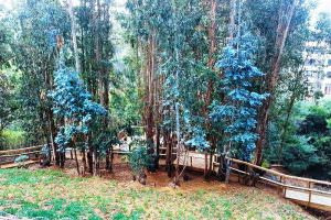 Barrio Ingles Arriendo Depto Amoblado 3d 2b Con Estac