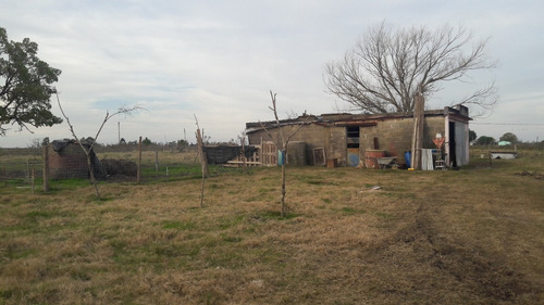 5 Hectáreas Con Dos Casas, Chacra En Venta En Canelones