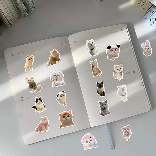 Pegatinas De Dibujos Animados De Gato Kawaii Para Niños Cal