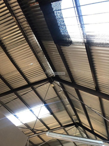 Imagen 11 de 18 de Local Comercial Deposito Galpon Villa Muñoz Nueva Palmira Y Arenal Grande 600m