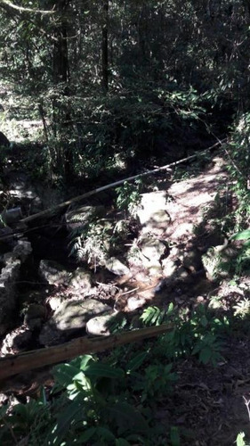 Imagem 10 de 30 de Chácara Em Caneca Fina, Guapimirim/rj De 10900m² 3 Quartos À Venda Por R$ 550.000,00 - Ch421832-s
