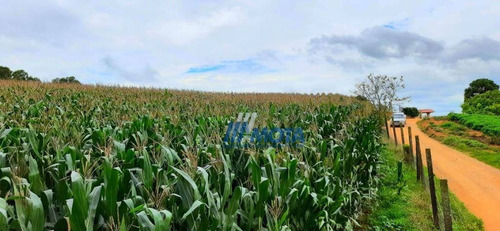 Chácara A Venda Colônia Marcelino São Jose Dos Pinhais Com 17.481,87 M2; Casa Alvenaria Com 270,00m2 - Ch0149