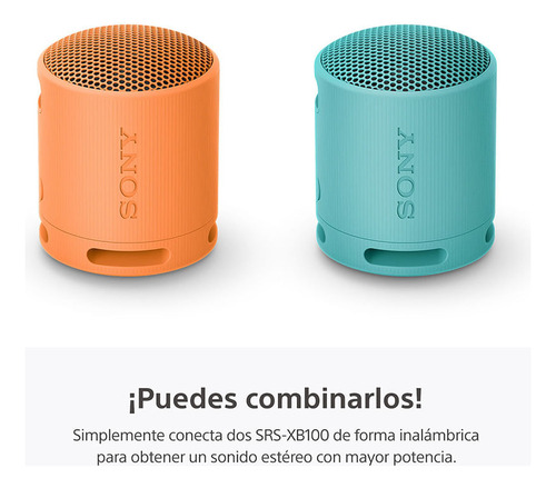 Parlante Inalámbrico Portátil Srs-xb100 Azul Sony Azul