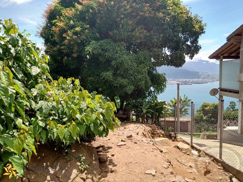 Imagem 3 de 8 de Terreno - Pv041 - 71105078