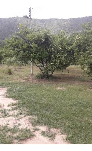 Imagen 6 de 17 de Parcela , En Ocumare De La Costa