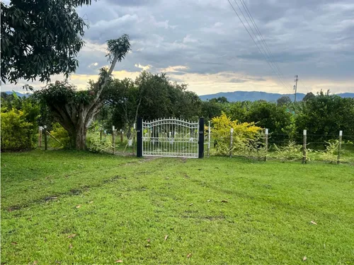 Venta Finca Montenegro Via Quimbaya - 8.5 Cuadras