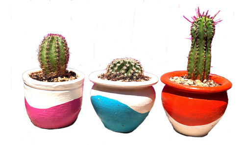 Pack Mini Macetas Cactus