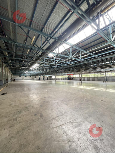 Depósito En Alquiler 15.000 M2 - Barracas
