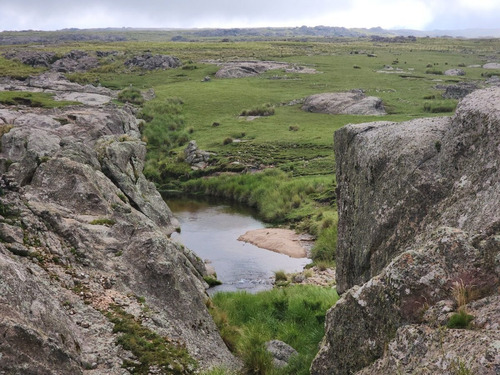 Imagen 19 de 30 de Se Vende Espectacular Fraccion De 70 Hectareas Con Agua, Pastizal, Vistas Unicas, Red 4g Personal En Los Gigantes