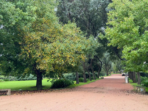Venta Parcela En Cementerio, Parque Del Reencuentro