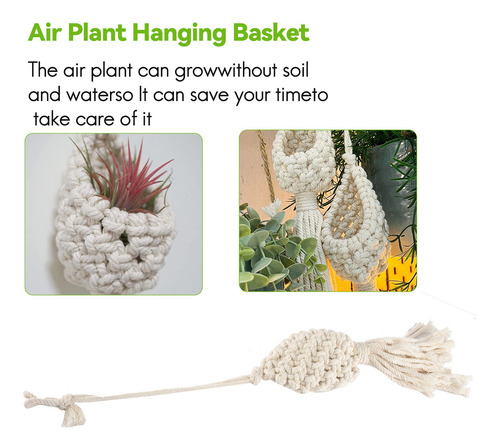 Cesta Colgante F8boho Macramé Air Plant Hanger Tillandsia Ro