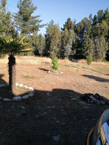 Terreno 5.000m2 Con Casa De 4d 2b Linares (90919)