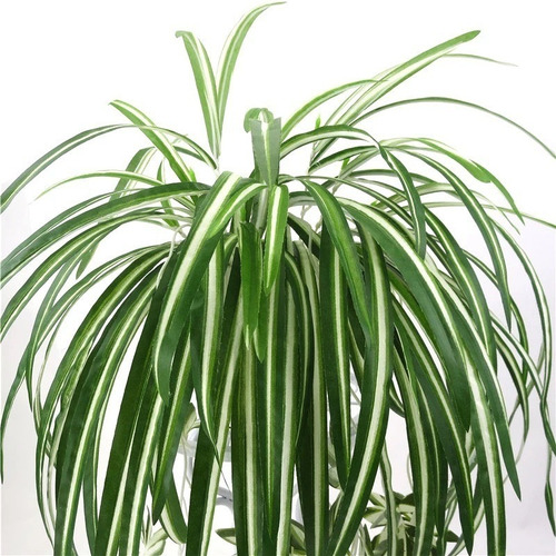 Ramo Hoja Artificial Chlorophytum Planta Verde Maceta Deco